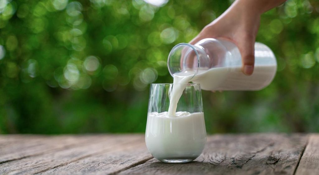 Bim Dost Süt Fiyatları