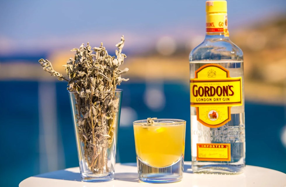 Migros Cin Fiyatı Gordons