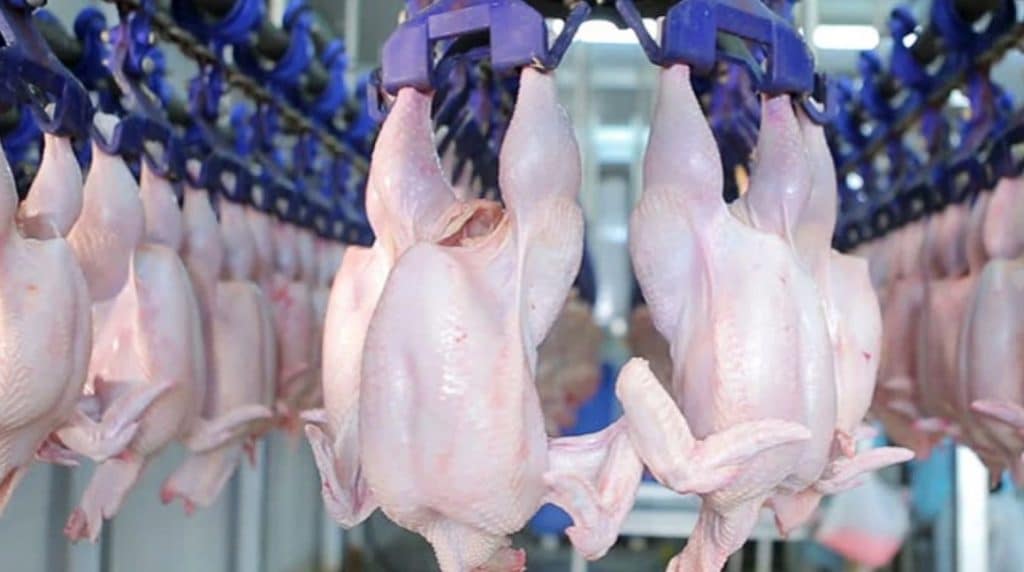 CarrefourSA Tavuk Fiyatı